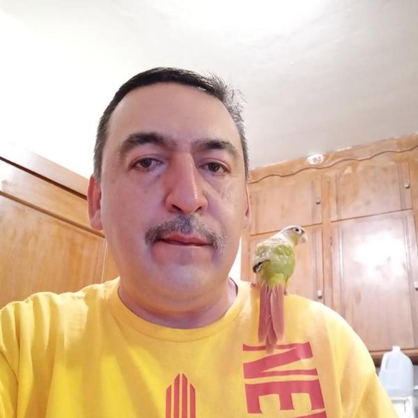 NOE