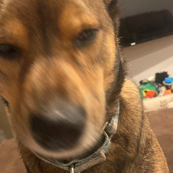 CHARLIE